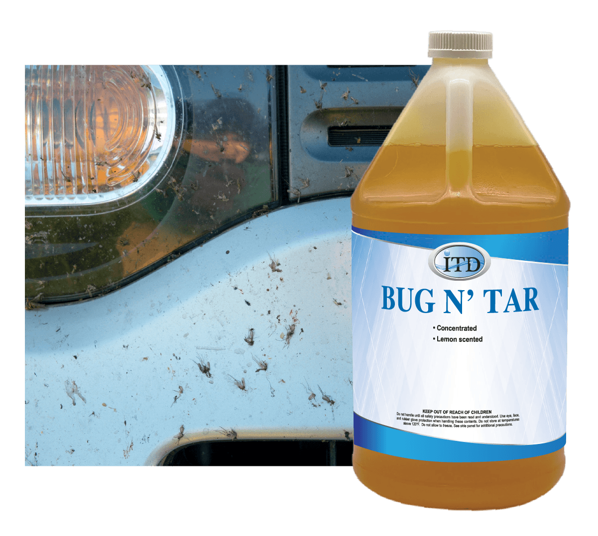 Bug N’ Tar